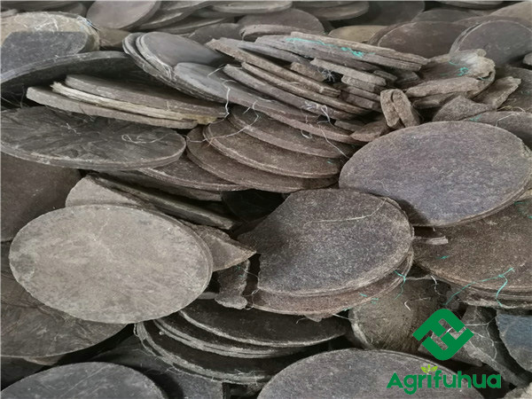 無(wú)草茶餅1 無(wú)草茶餅1